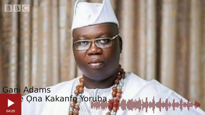 Gani Adams