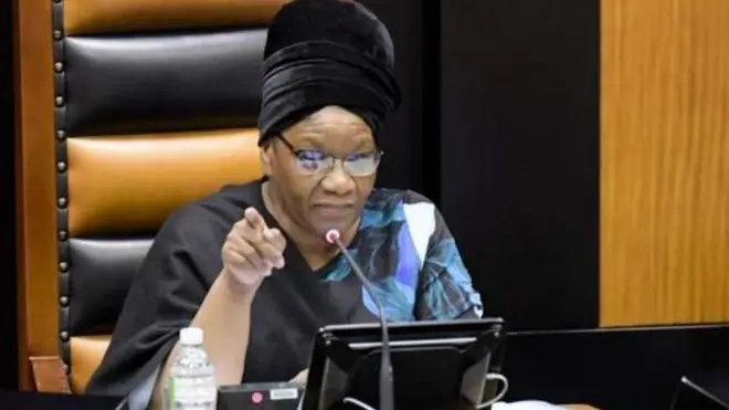 Spika Thandi Modise alisema kuwa yeye sio shabiki wa mikutano inayofanyika kwa njia ya Zoom mtandaoni