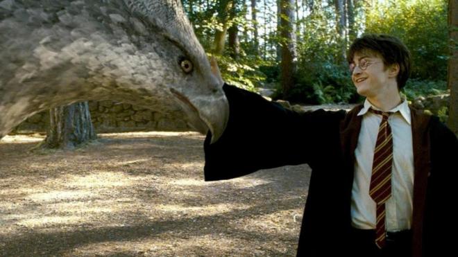 Harry Potter y un hippogriff