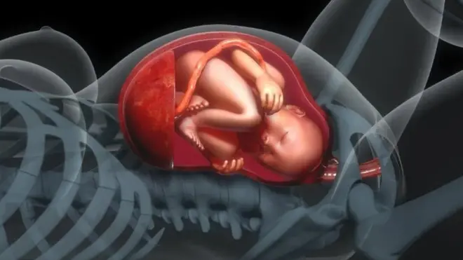 'nuchal chord' kan mudatu wayita hiddi handhuura daa'imaa digrii 360 morma da'immaatti yoo maramudha