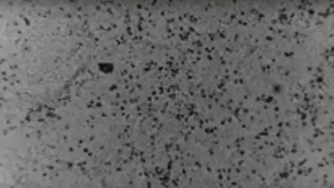 هذه أول مرة يخلّق فيها الفيروس خارج الصين