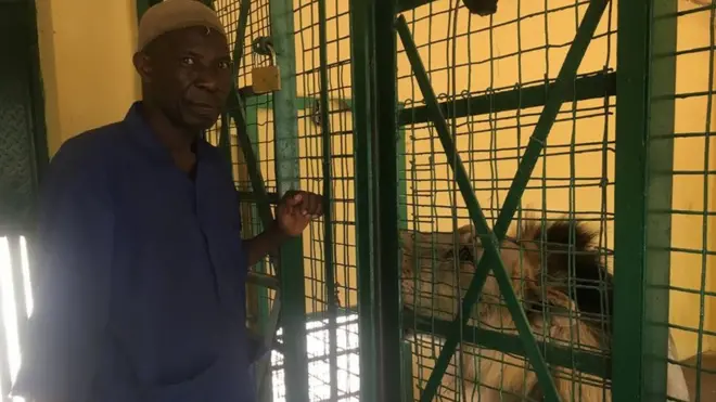Mallam Abba pose wit lion wey dey inside cage