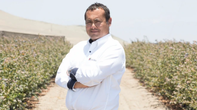 Carlos Gereda fue pionero en percibir el potencial de Perú como productor de arándanos.