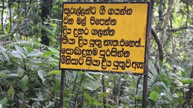 සිංහරාජ පිවිසුම් මග ඇති දැන්වීම් පුවරුවක්