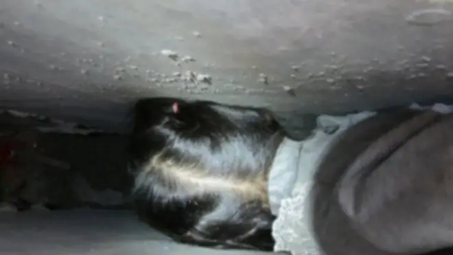 إنقاذ طفلة علق رأسها بين جدارين