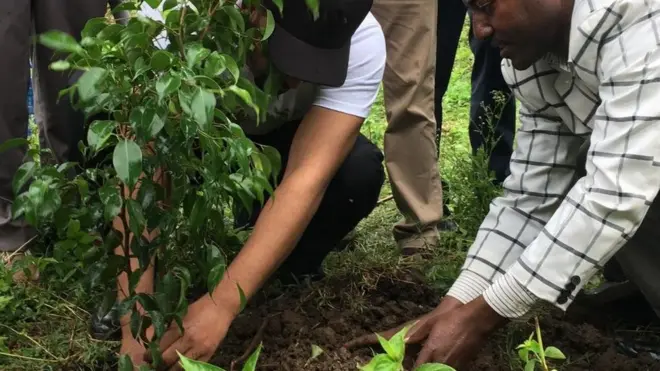 Duula dhaaba bosoonaa bara 2019