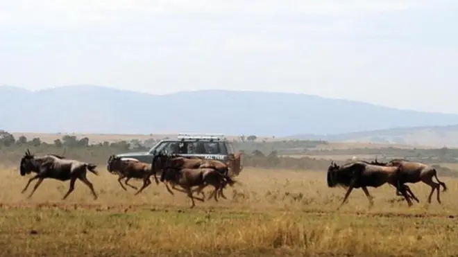 Mbona Kenya imekuwa ikipoteza watalii kwa Tanzania?