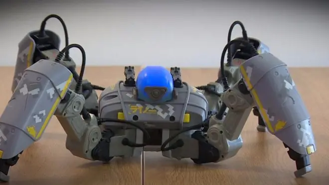 રબૉટની તસવીર