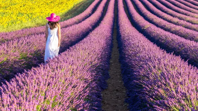 Mujer caminando en Provenza