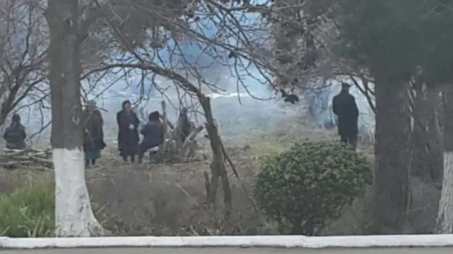 yandırılan ağaclar