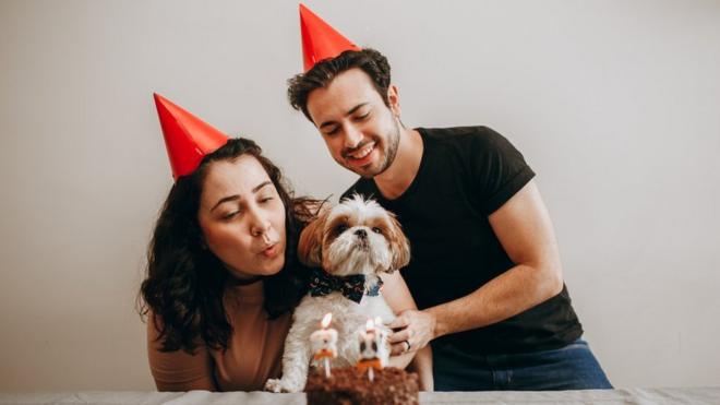 Casal com cachorro e chapeuzinhos de aniversário, em frente a bolo