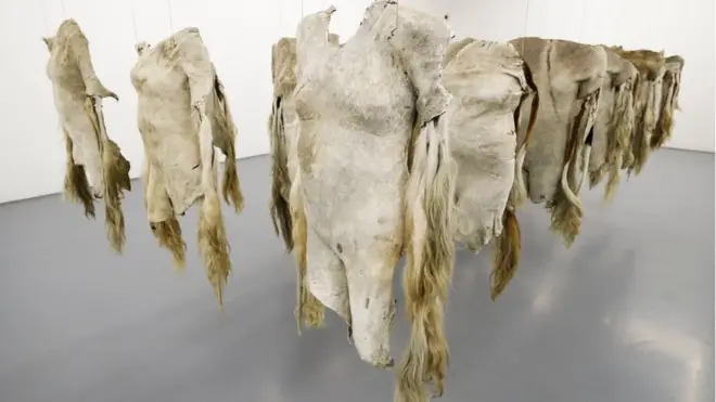 ንናይ ወዲ ሰብ ቅርፂ ክመሳሰል ዝተገበረ ቆርበት ኣላሕም፡ ብደቡብ ኣፈሪቃዊ ስነጥበበኛ ናንዲፋ ምንታምቦ