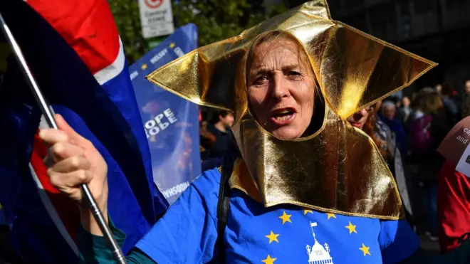протестующая в лондоне против брексита
