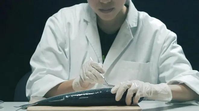 ဟောင်ကောင်က ငါးတွေထဲမှာပလပ်စတစ်တွေ တွေ့