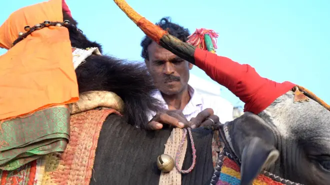 గంగిరెద్దు