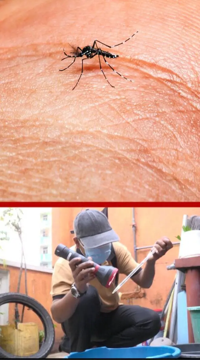 කෙනෙකුගේ අතේ මදුරුවෙකු වසා සිටින අතර බිම වාඩි වී සිටින අයෙකු මදුරු කීටයන් බලමින් සිටිනවා.