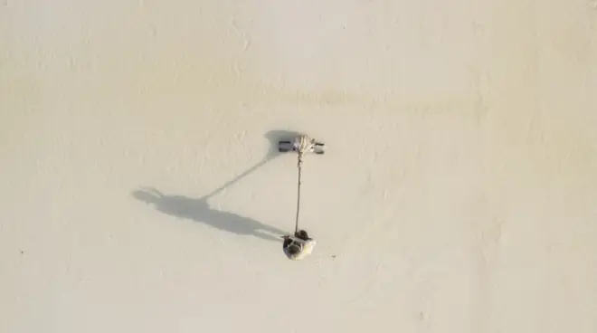 नमक की खेती करते मज़दूर