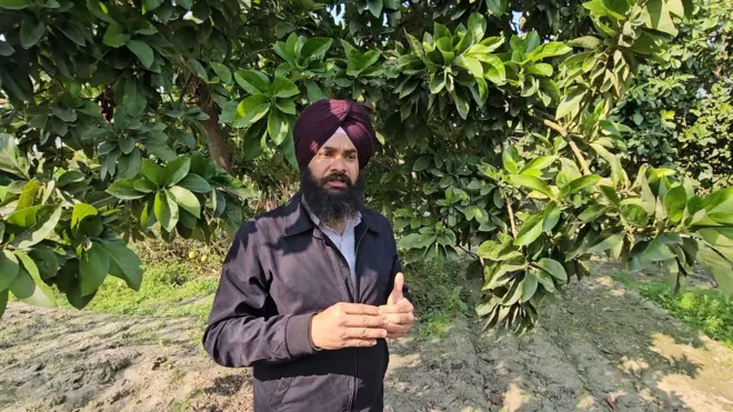 ਵਿਦੇਸ਼ੀ ਫਲਾਂ ਦੀ ਖੇਤੀ