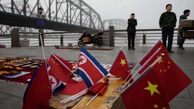 North Korea flags