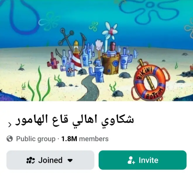 صورة لمجموعة "شكاوى أهالي قاع الهامور" على فيسبوك