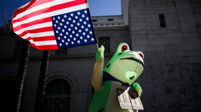 A frog costume protester holds a US flag upside down during a protest in LA