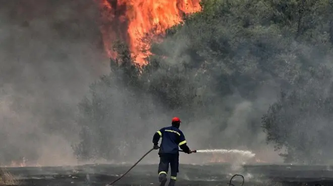 جهود متواصلة للتصدي لحرائق الغابات المستمرة