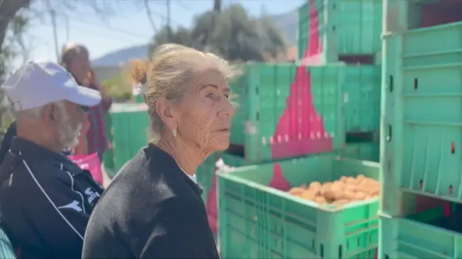 فيفيان حرمون - شمال إسرائيل