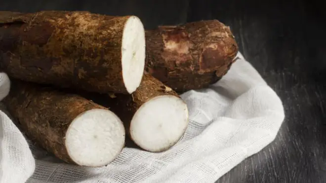 Cassava