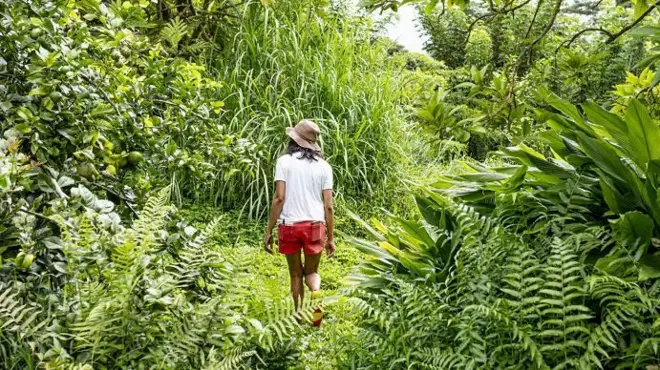 ప్రతీకాత్మక చిత్రం