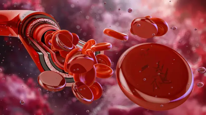 ब्लड कोशिकाएं