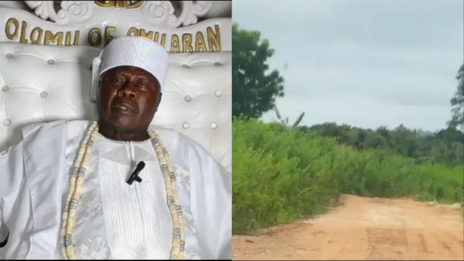 Aworan Ololmu ti ilu Omuara ati inu igbo kan.