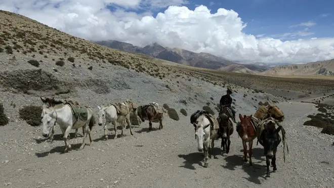 नेपाल चीन