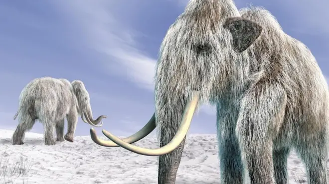 ¿Por qué desaparecieron? Un misterio aparentemente insondable.