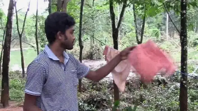 පාහියංගල