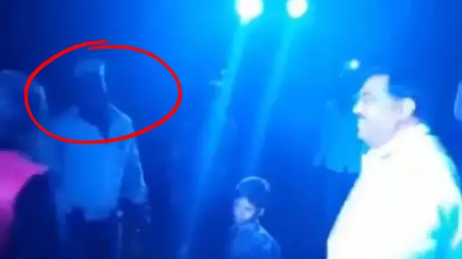 सलीम कुत्ता 