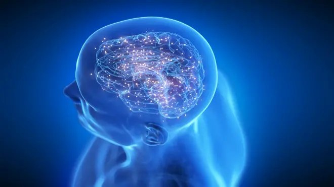 ඔබේ මොළය තුළ GPS පවතින බව ඔබ දන්නවා ද?