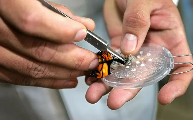 නීති නිලධාරියෙකු නැති වනජීවී දෙපාර්තමේන්තුවේ කෝටි හය පැනපු 'ලොකුම දඩය'