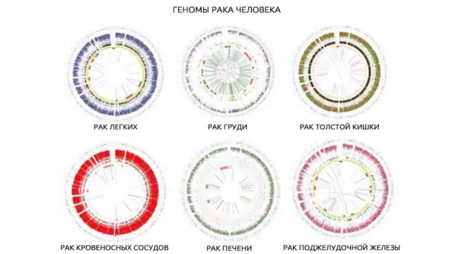 Геномы рака человека