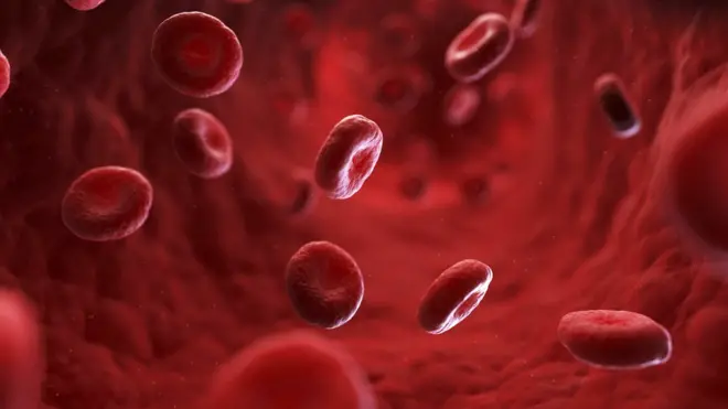 Эритроциты