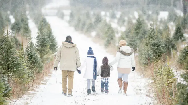 Di best place to raise pikin