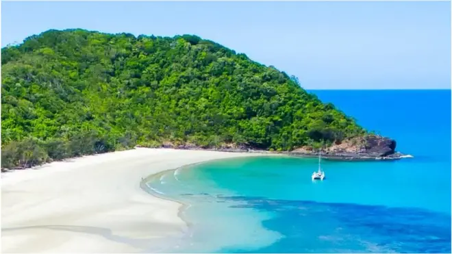 A beach at Cape Tribulation at the edge of the Daintree rainforest