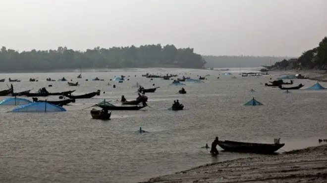 সুন্দরবনের জীববৈচিত্র্য হুমকির মুখে পড়তে পারে বলে আশংকা করছে ইউনেস্কো