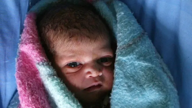 చైనా బుజ్జోడు