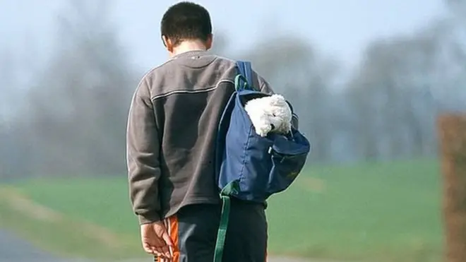 өспүрүм бала