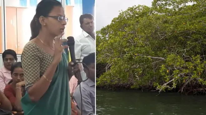 දේවානි ජයතිලක