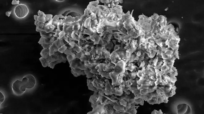 "Nuestras observaciones sugieren que estos granos exóticos son polvo interestelar presolar que fue un componente esencial para la formación de planetas y estrellas", señaló la investigador Hope Ishii, de la Universidad de Hawaii.