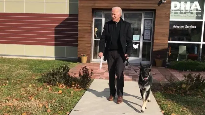 Joe Biden s'est tordu la cheville en jouant avec Major, l'un de ses deux bergers allemands