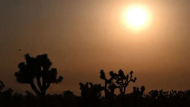 Uma temperatura 1,5 grau acima do nível pré-industrial ameaça parte da vida na Terra