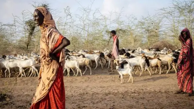 Aworan awọn ti iyan n daa laamu ni agbegbe Horn of Africa
