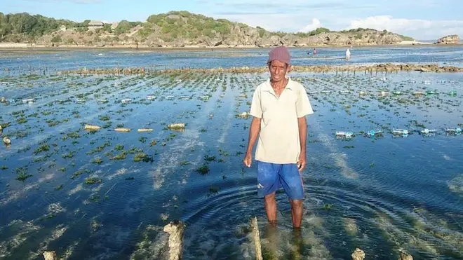 Hakim memerintahkan perusahaan untuk membayar Daniel Sanda sekitar Rp253 juta ditambah bunga.